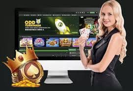 ocs bet net